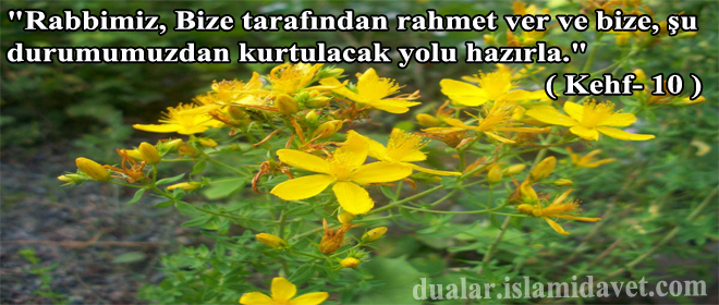 Resimli Dua – “Rabbimiz Bize Tarafından Rahmet Ver ve Bize,… aaaaaaaaa