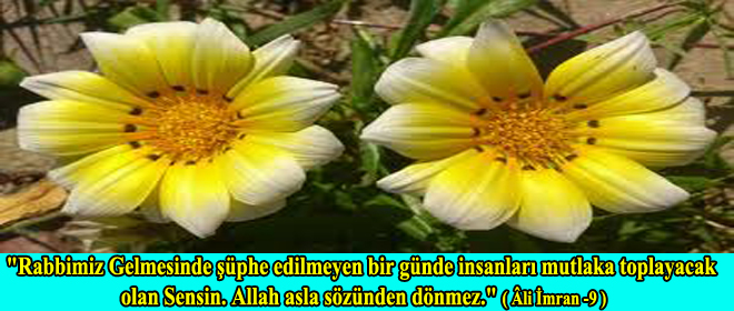 Resimli Dua – “Rabbimiz Gelmesinde Şüphe Edilmeyen Bir Günde… aaaaaaaaaaaaaaaa