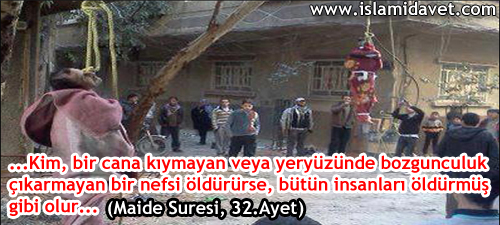 Maide 32 maide32