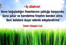 imam hüseyin