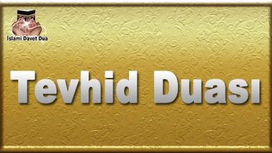 tevhid