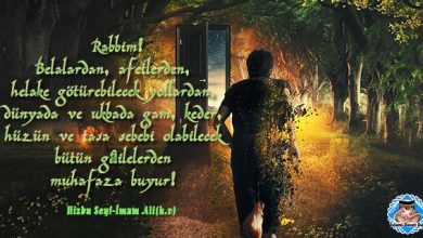 imam ali dua