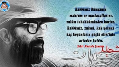 mustafa çamran