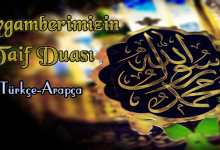 Peygamberimizin Taif Duası