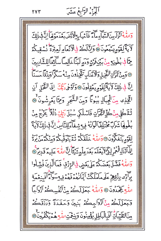 Hüsrev Hatlı Tevafuklu Kuran Arapça - Sayfa 273