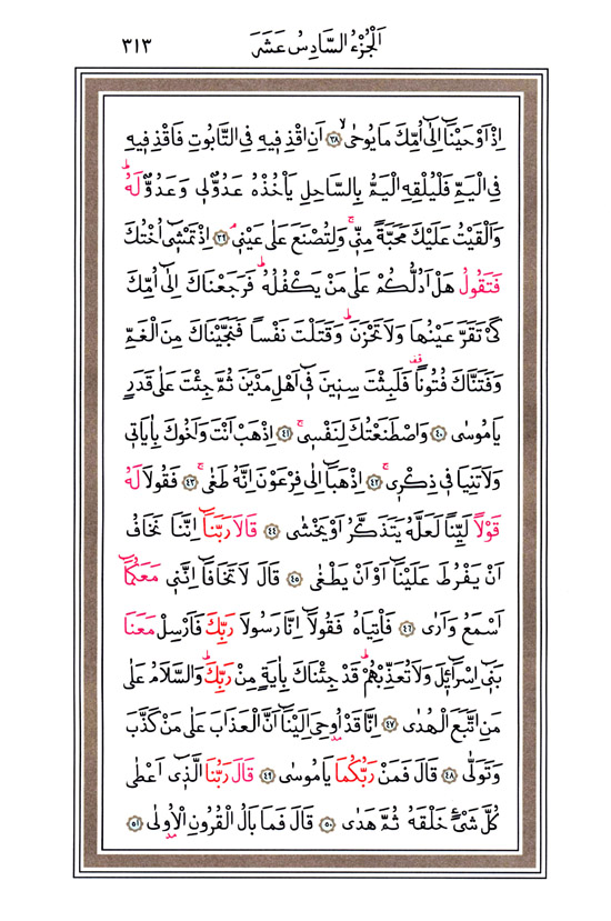 Hüsrev Hatlı Tevafuklu Kuran Arapça - Sayfa 313
