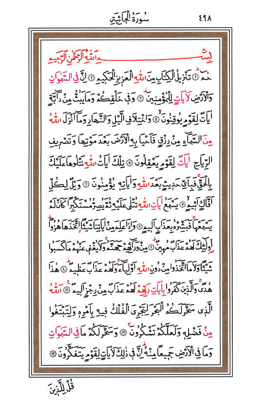 Hüsrev Hatlı Tevafuklu Kuran Arapça - Sayfa 498