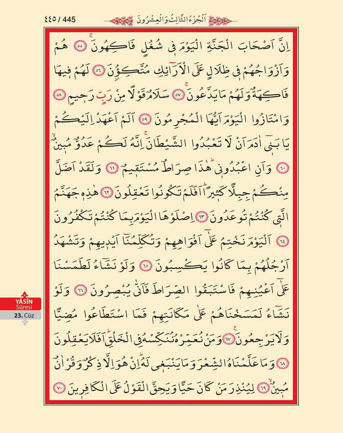 Bilgisayar Hatlı 1 Kuran Arapça - Sayfa 444