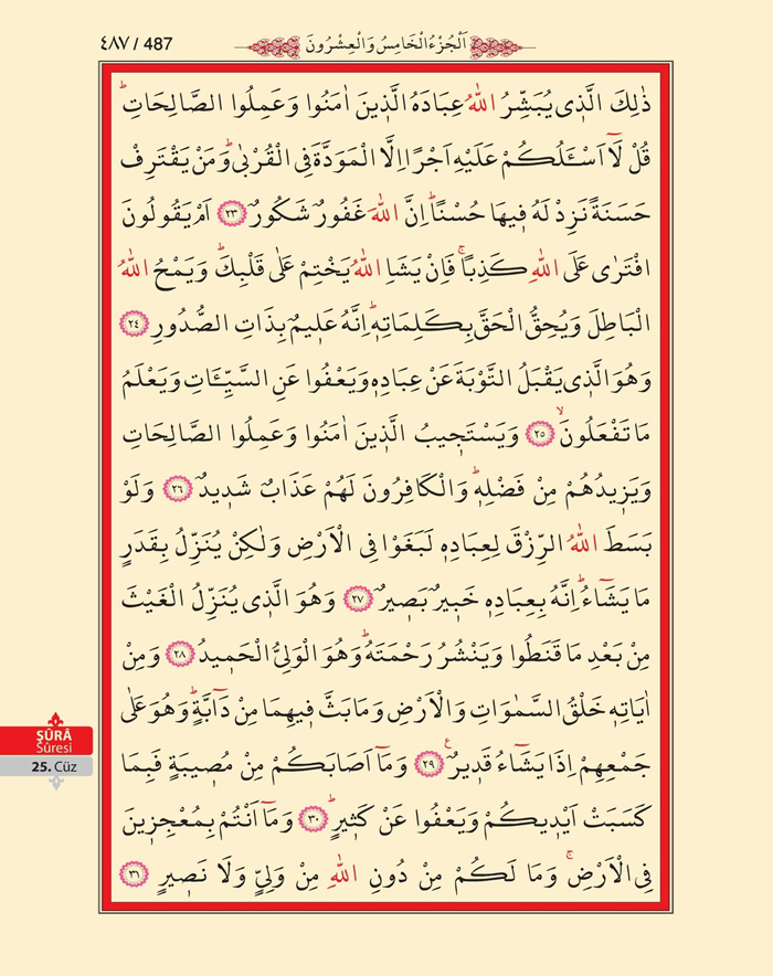 Bilgisayar Hatlı 1 Kuran Arapça - Sayfa 486
