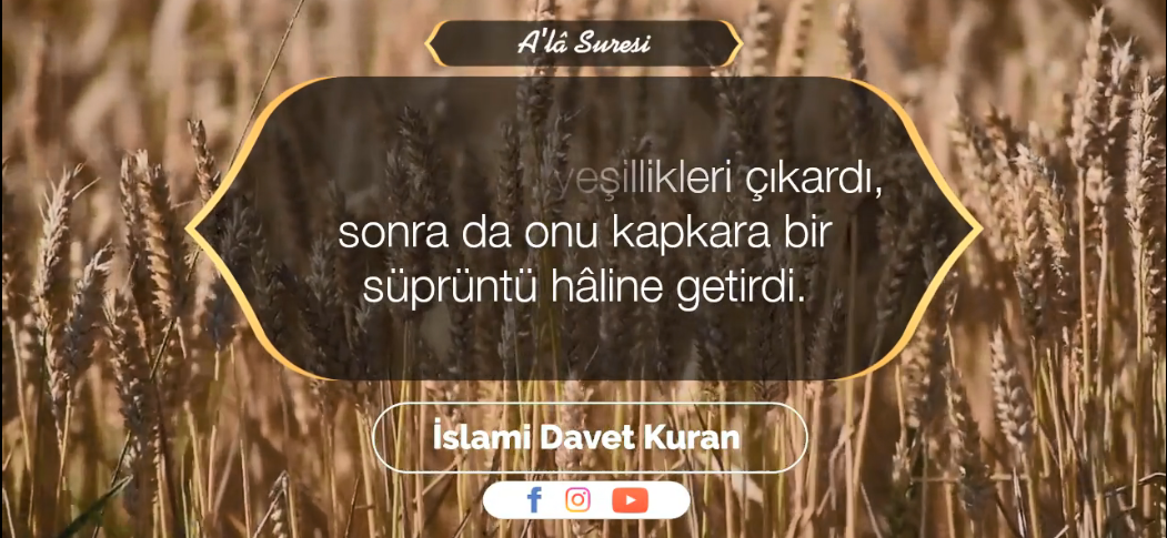 A'lâ Suresi - Mahmud Saad Derviş 2