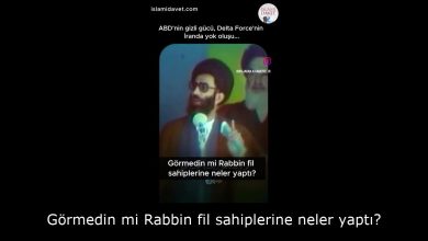 Görmedin mi Rabbin fil sahiplerine neler yaptı? 21