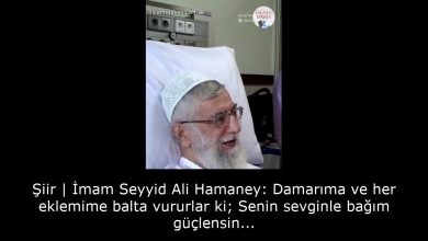 Şiir | İmam Seyyid Ali Hamaney: Damarıma ve her eklemime balta vururlar ki; Senin sevginle bağım güçlensin... 3
