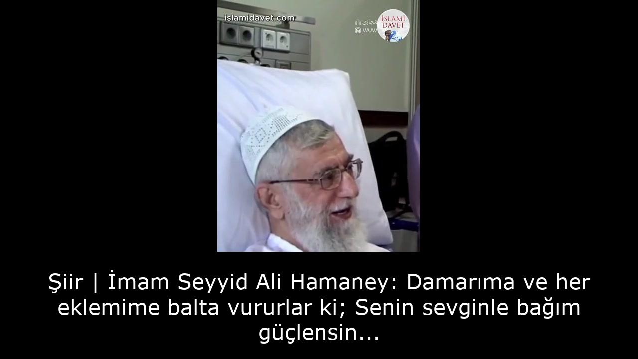 Şiir | İmam Seyyid Ali Hamaney: Damarıma ve her eklemime balta vururlar ki; Senin sevginle bağım güçlensin... 4