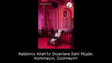 Rabbimiz Allah’tır Diyenlere İlahi Müjde: Korkmayın, Üzülmeyin! 51