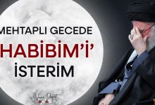 Mehtaplı Gecede Habibim'i İsterim 15