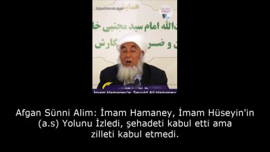 Afgan Sünni Alim: İmam Hamaney, İmam Hüseyin'in (a.s) Yolunu İzledi, şehadeti kabul etti ama zilleti kabul etmedi. 10