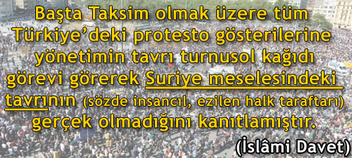suriye-turnusol