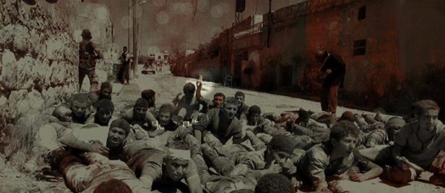 halep-sehadetegidenler