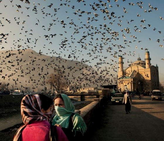 In picture: Explore beauties of Afghanistan
