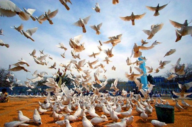 In picture: Explore beauties of Afghanistan