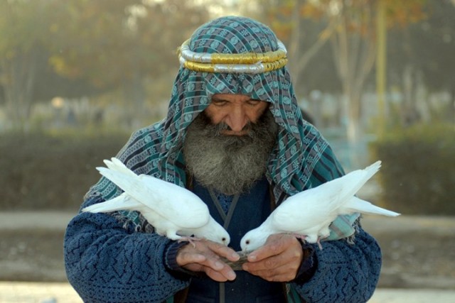 In picture: Explore beauties of Afghanistan