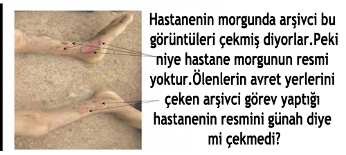 avret-arsivci