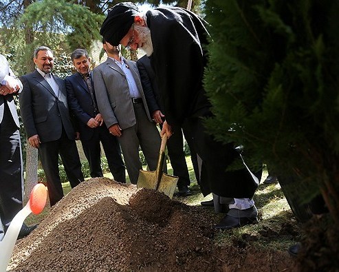 rehber-fidan-2014 (1)