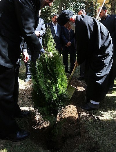 rehber-fidan-2014 (3)