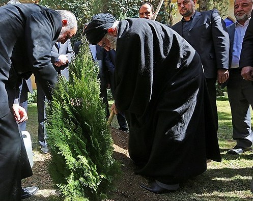 rehber-fidan-2014 (4)