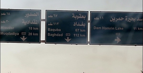 ammar-SadiyeveCelula (3)