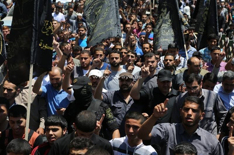 11666167_1480809335545862_6834873860446299474_n