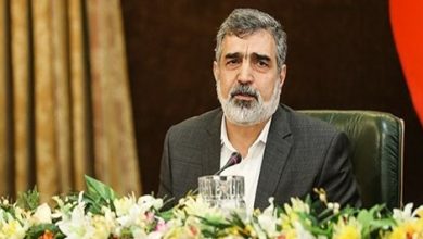 Buşehr santralinin ikinci ünitesinin beton çalışması başlıyor