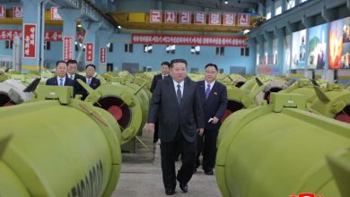 Şi Cinping ve Putin, Kuzey Kore ile stratejik ilişkilere vurgu yaptı