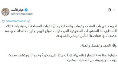 Ensarullah: Bab el-Mendeb çevresinde yalnızca Yemen Silahlı Kuvvetleri bulunuyor